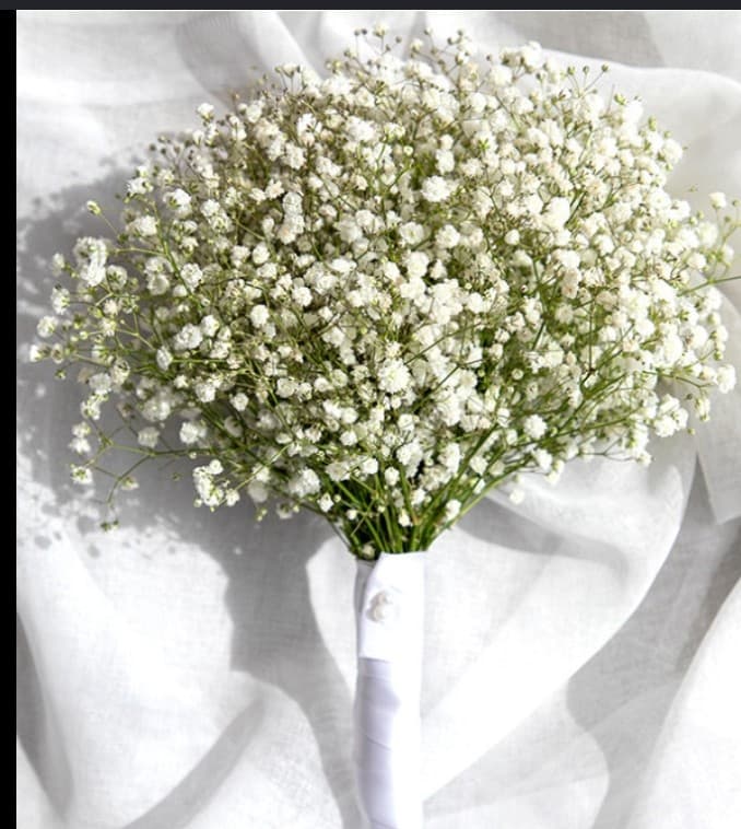 Jeter pour arroussa gypsophilia — bouquet naturel Wardaty Flowers